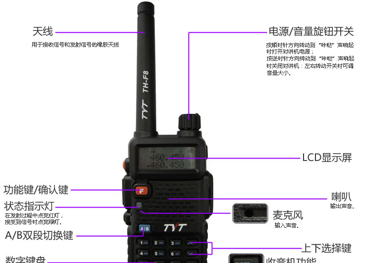 T239LFXgRb